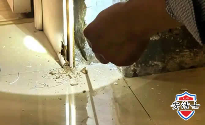 万宁房屋建筑防治白蚁