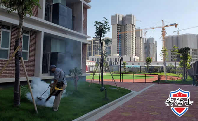 万宁工厂工地除白蚁