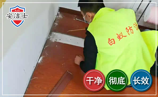 万宁除四害现场