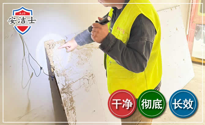 万宁除白蚁现场